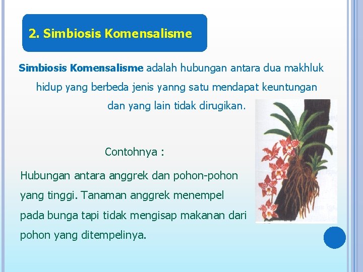 2. Simbiosis Komensalisme adalah hubungan antara dua makhluk hidup yang berbeda jenis yanng satu