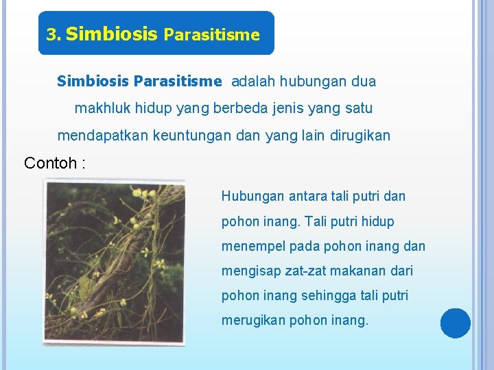 3. Simbiosis Parasitisme adalah hubungan dua makhluk hidup yang berbeda jenis yang satu mendapatkan