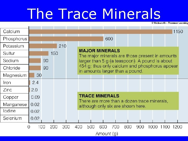 The Trace Minerals 
