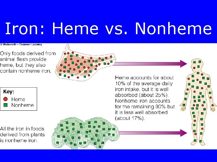 Iron: Heme vs. Nonheme 