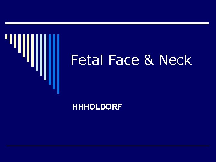 Fetal Face & Neck HHHOLDORF 