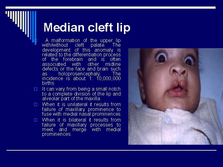 Median cleft lip A malformation of the upper lip with/without cleft palate. The development