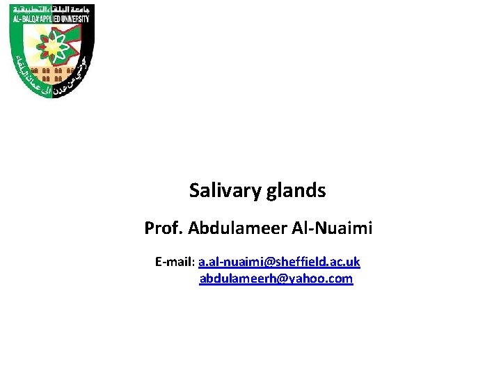 Salivary glands Prof. Abdulameer Al-Nuaimi E-mail: a. al-nuaimi@sheffield. ac. uk abdulameerh@yahoo. com 