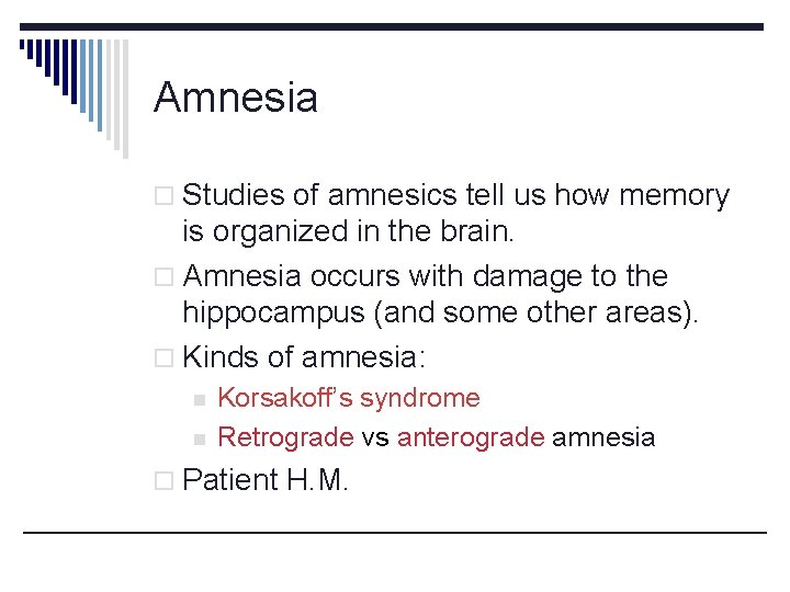 Amnesia o Studies of amnesics tell us how memory is organized in the brain.