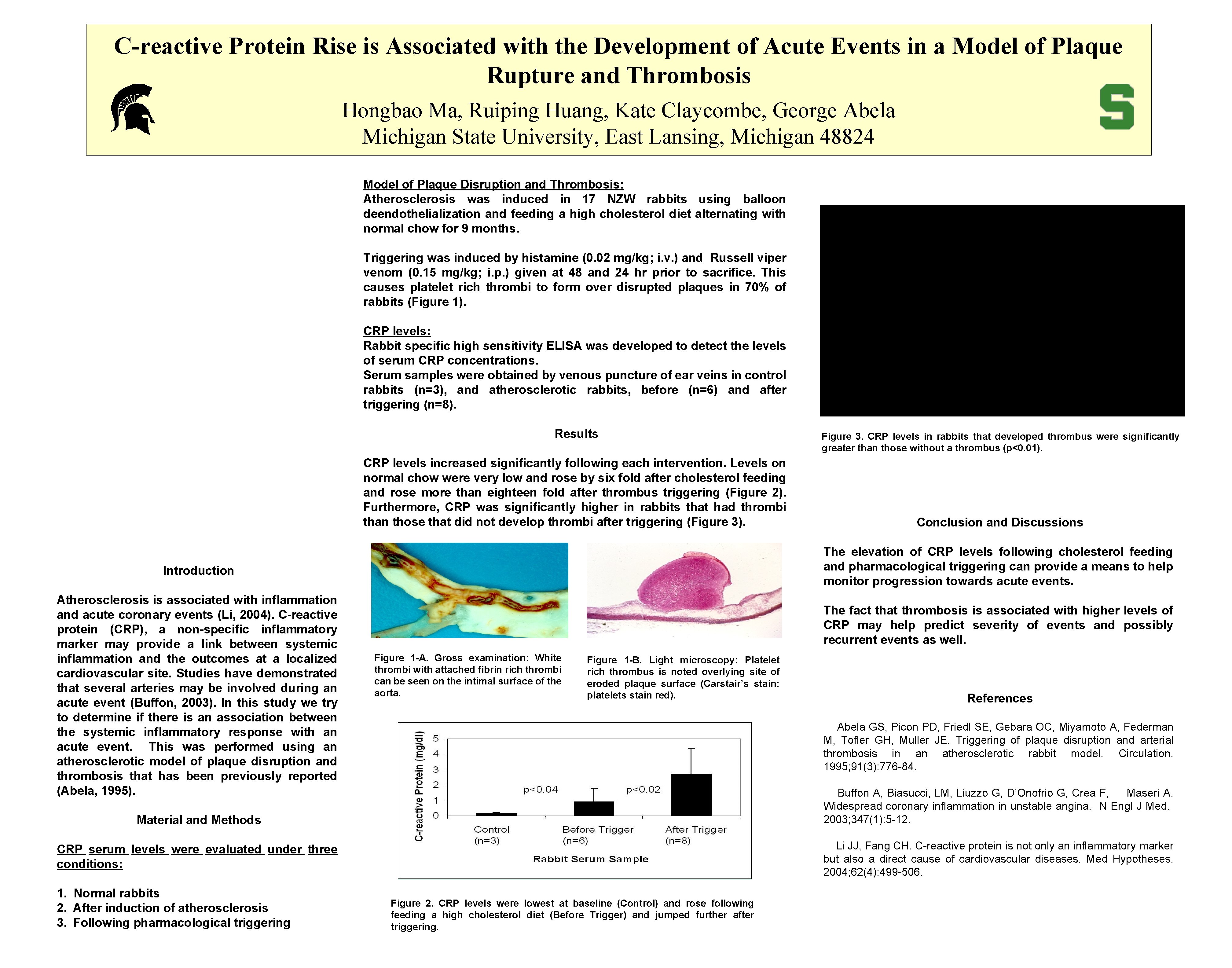 C-reactive Protein Rise is Associated with the Development of Acute Events in a Model