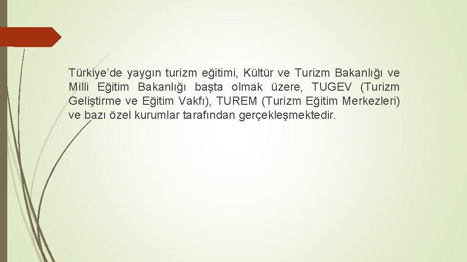 Türkiye’de yaygın turizm eğitimi, Kültür ve Turizm Bakanlığı ve Milli Eğitim Bakanlığı başta olmak