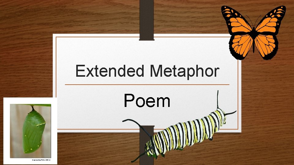 Extended Metaphor Poem 