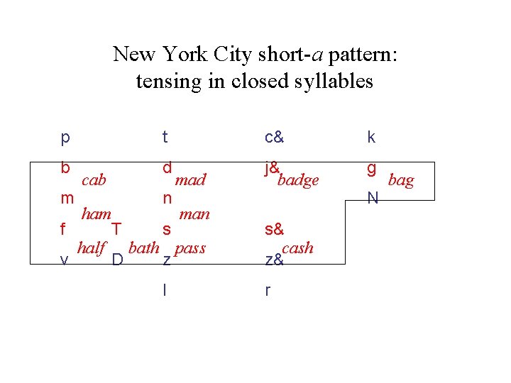 New York City short-a pattern: tensing in closed syllables p t c& k b