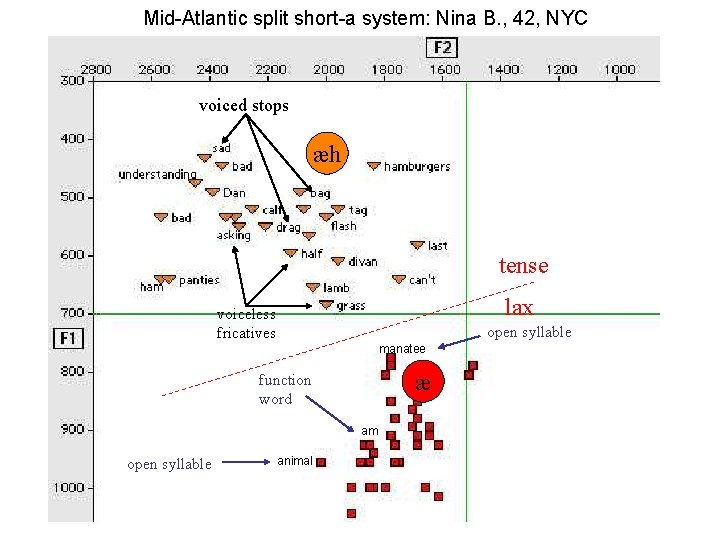 Mid-Atlantic split short-a system: Nina B. , 42, NYC voiced stops æh tense lax