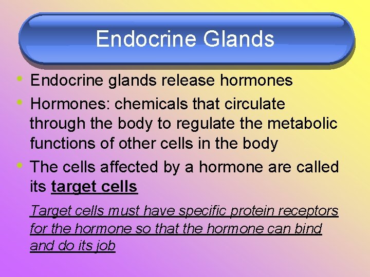 Endocrine Glands • Endocrine glands release hormones • Hormones: chemicals that circulate • through