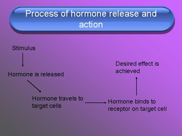 Process of hormone release and action Stimulus Hormone is released Hormone travels to target