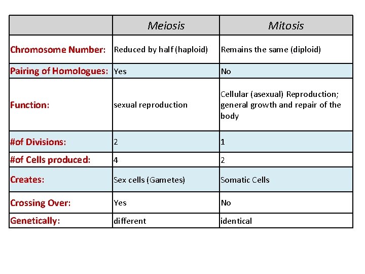Meiosis Mitosis Chromosome Number: Reduced by half (haploid) Remains the same (diploid) Pairing of