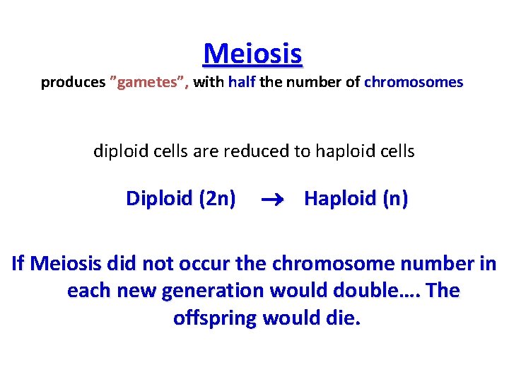 Meiosis produces ”gametes”, with half the number of chromosomes diploid cells are reduced to