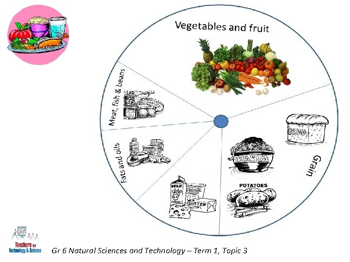Gr 6 Natural Sciences and Technology – Term 1, Topic 3 