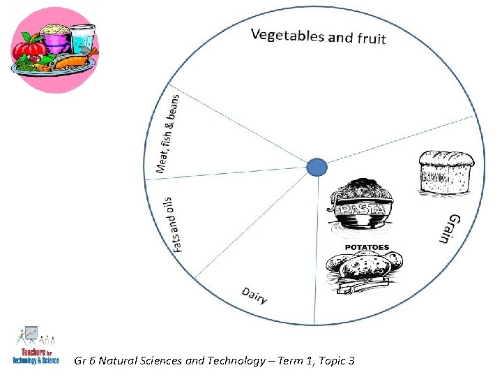 Gr 6 Natural Sciences and Technology – Term 1, Topic 3 
