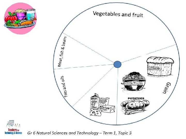 Gr 6 Natural Sciences and Technology – Term 1, Topic 3 