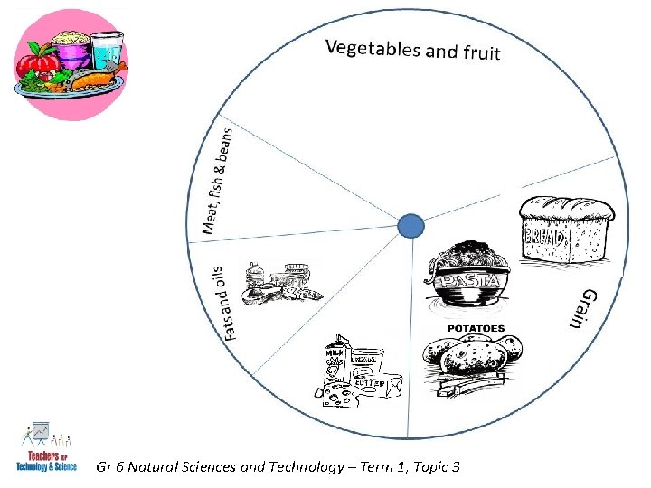 Gr 6 Natural Sciences and Technology – Term 1, Topic 3 