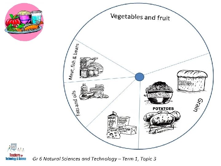 Gr 6 Natural Sciences and Technology – Term 1, Topic 3 