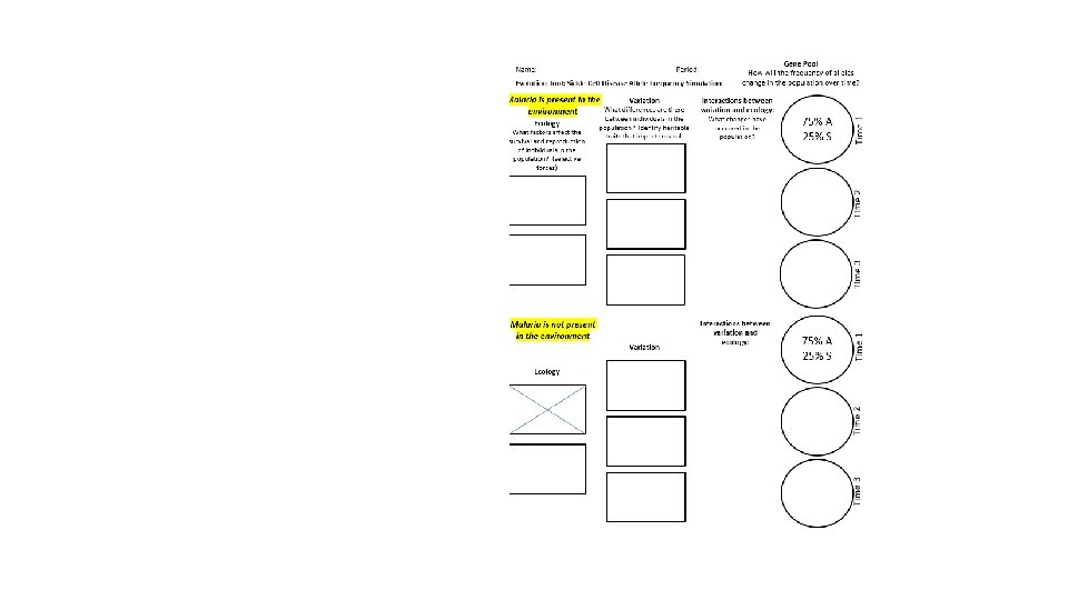 Evolution Tool 1. Complete tool with your lab table. 2. What questions do you