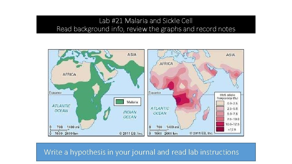 Lab #21 Malaria and Sickle Cell Read background info, review the graphs and record