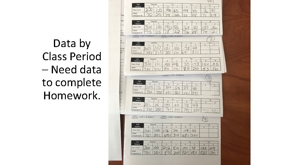 Data by Class Period – Need data to complete Homework. 