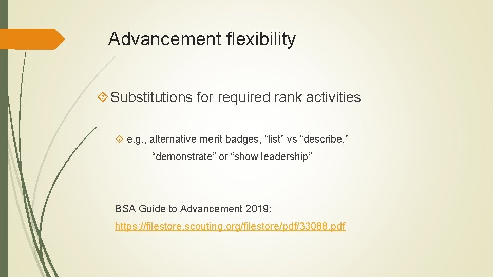 Advancement flexibility Substitutions for required rank activities e. g. , alternative merit badges, “list”