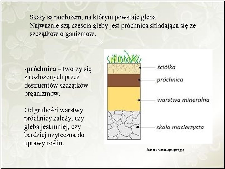 Skały są podłożem, na którym powstaje gleba. Najważniejszą częścią gleby jest próchnica składająca się