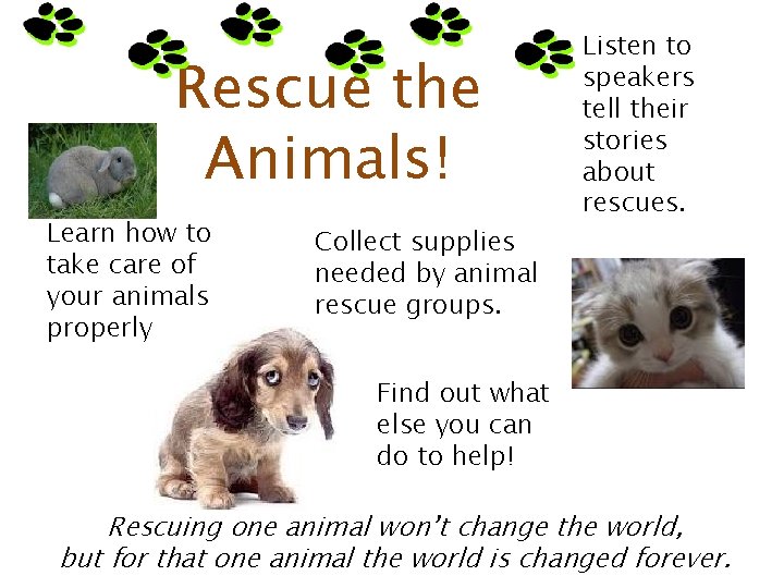 Rescue the Animals! Learn how to take care of your animals properly. Collect supplies