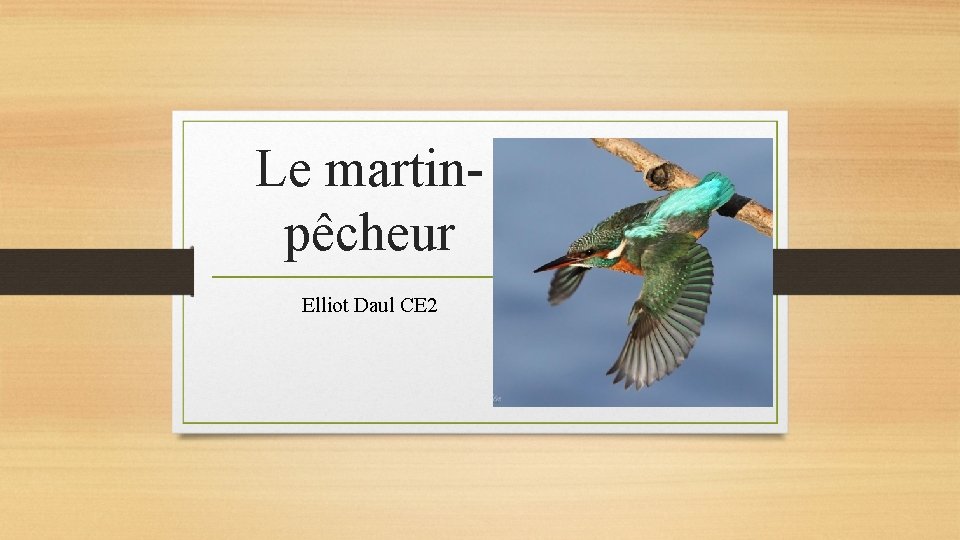 Le martinpêcheur Elliot Daul CE 2 