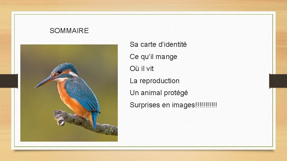 SOMMAIRE Sa carte d’identité Ce qu’il mange Où il vit La reproduction Un animal