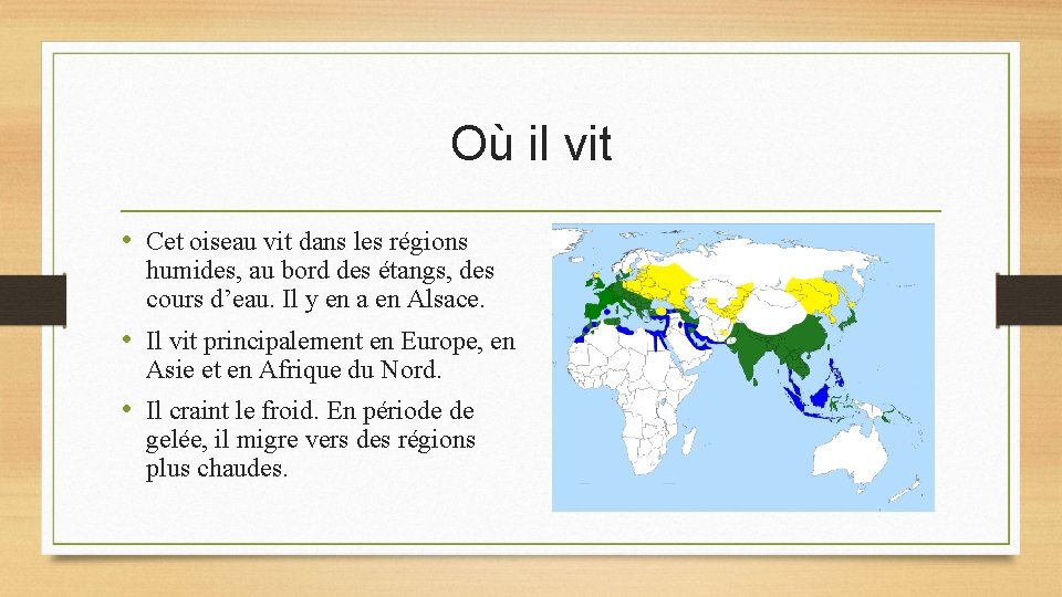 Où il vit • Cet oiseau vit dans les régions humides, au bord des