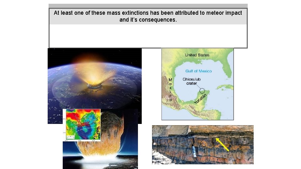 At least one of these mass extinctions has been attributed to meteor impact and
