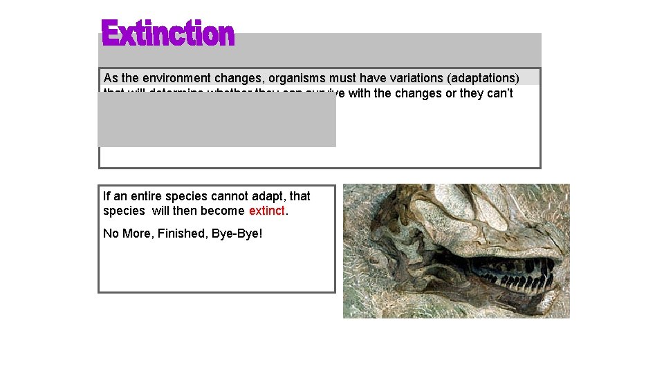 As the environment changes, organisms must have variations (adaptations) that will determine whether they
