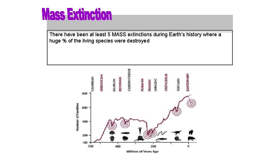 There have been at least 5 MASS extinctions during Earth’s history where a huge