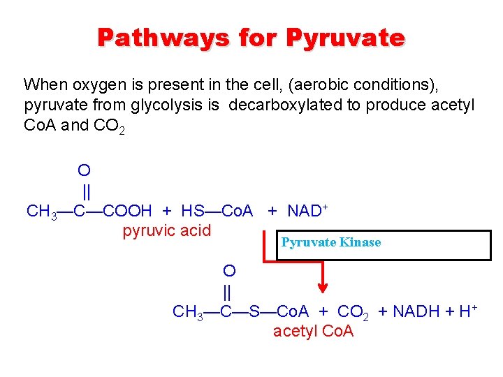 Metabolic Pathways of Carbohydrates Digestion of Carbohydrates Glycolysis