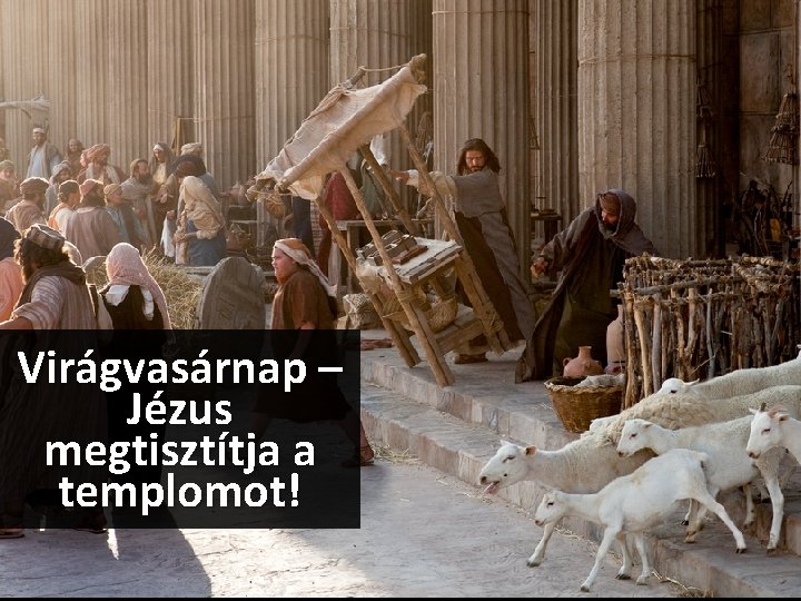 Virágvasárnap – Jézus megtisztítja a templomot! 