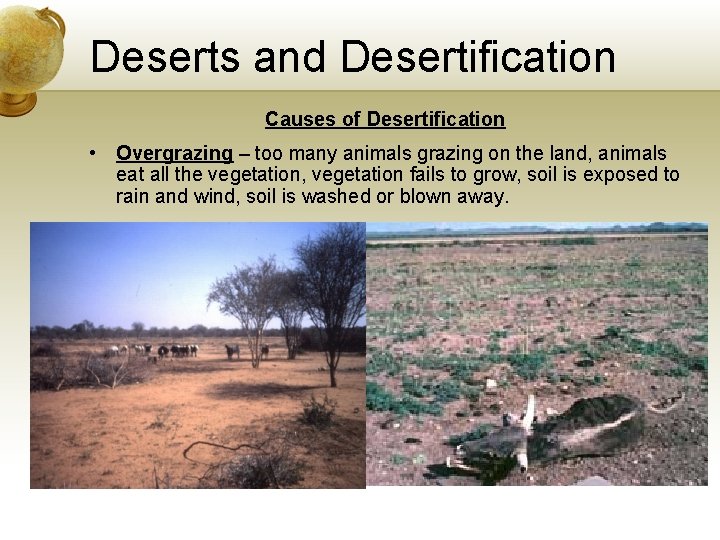 Deserts and Desertification Causes of Desertification • Overgrazing – too many animals grazing on