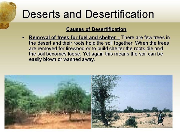Deserts and Desertification Causes of Desertification • Removal of trees for fuel and shelter
