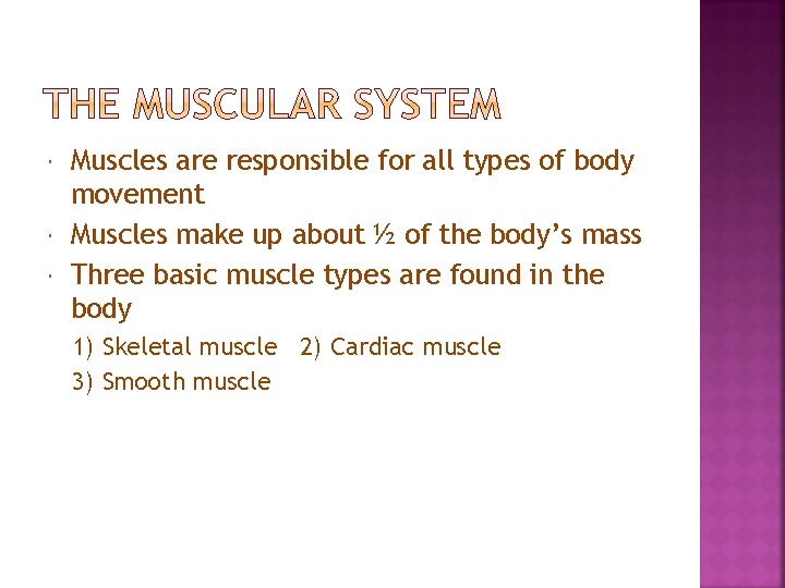  Muscles are responsible for all types of body movement Muscles make up about