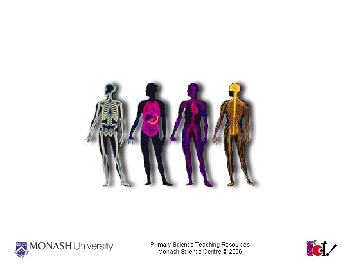 How the Body Works Primary Science Teaching Resources Monash Science Centre © 2006 