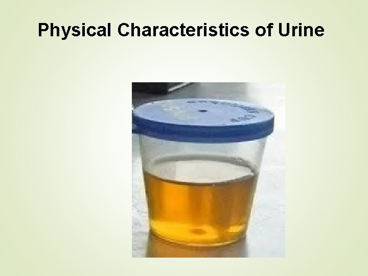 Physical Characteristics of Urine 