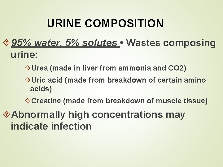 URINE COMPOSITION 95% water, 5% solutes • Wastes composing urine: Urea (made in liver