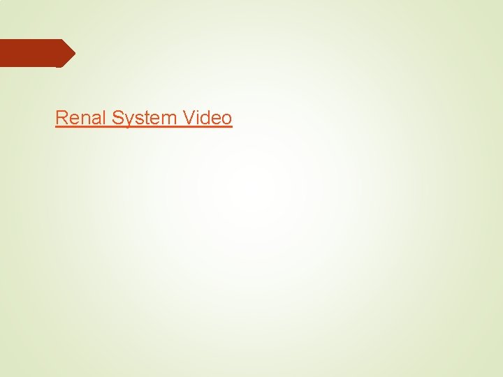 Renal System Video 