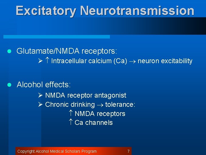Excitatory Neurotransmission l Glutamate/NMDA receptors: Ø Intracellular calcium (Ca) neuron excitability l Alcohol effects: