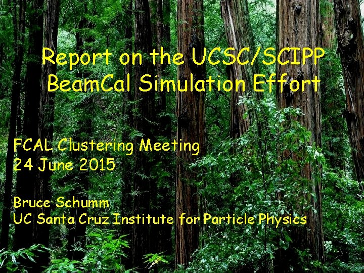 Report on the UCSC/SCIPP Beam. Cal Simulation Effort FCAL Clustering Meeting 24 June 2015