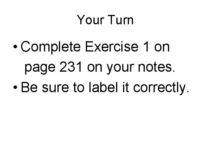 Your Turn • Complete Exercise 1 on page 231 on your notes. • Be