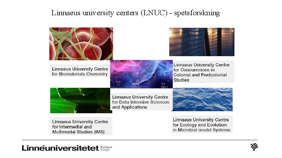 Linnaeus university centers (LNUC) - spetsforskning 