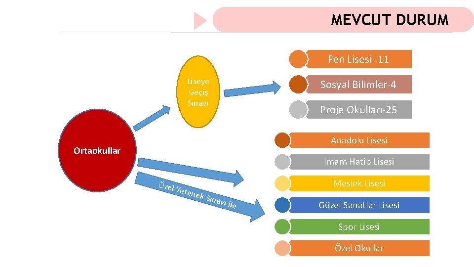 MEVCUT DURUM Fen Lisesi- 11 Liseye Geçiş Sınavı Sosyal Bilimler-4 Proje Okulları-25 Anadolu Lisesi