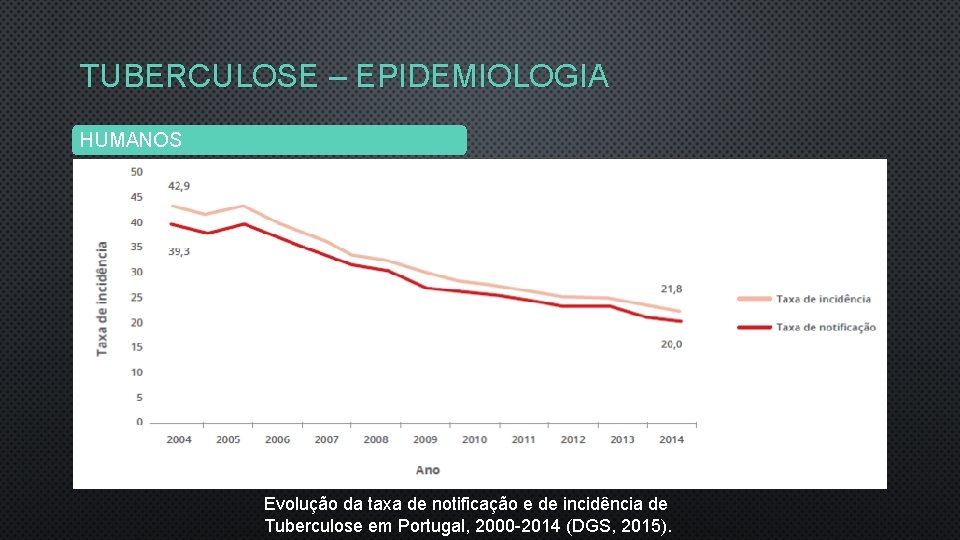 TUBERCULOSE – EPIDEMIOLOGIA HUMANOS Evolução da taxa de notificação e de incidência de Tuberculose