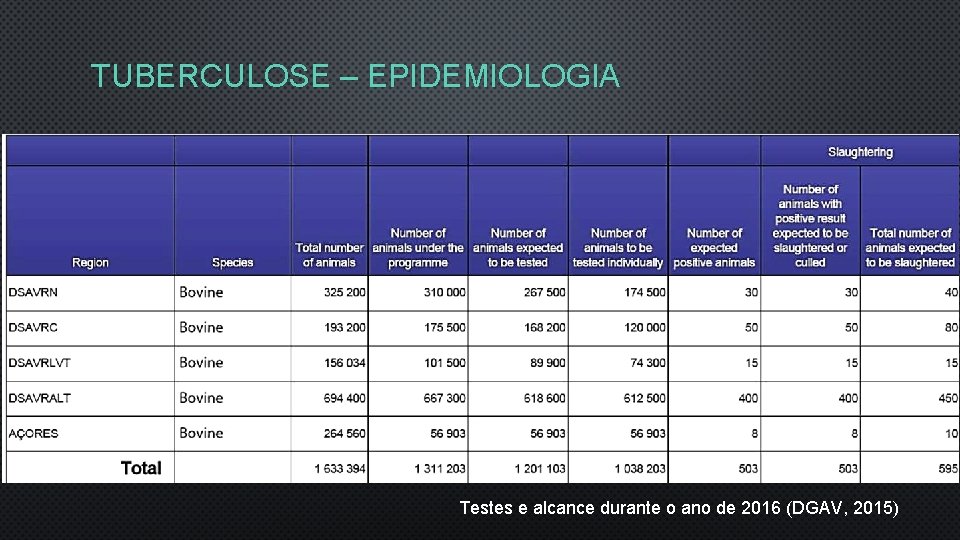 TUBERCULOSE – EPIDEMIOLOGIA Testes e alcance durante o ano de 2016 (DGAV, 2015) 